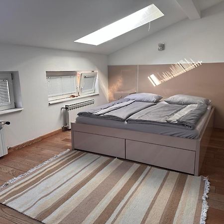 Vila Danin With Free Garage,Stari Grad Σαράγεβο Εξωτερικό φωτογραφία